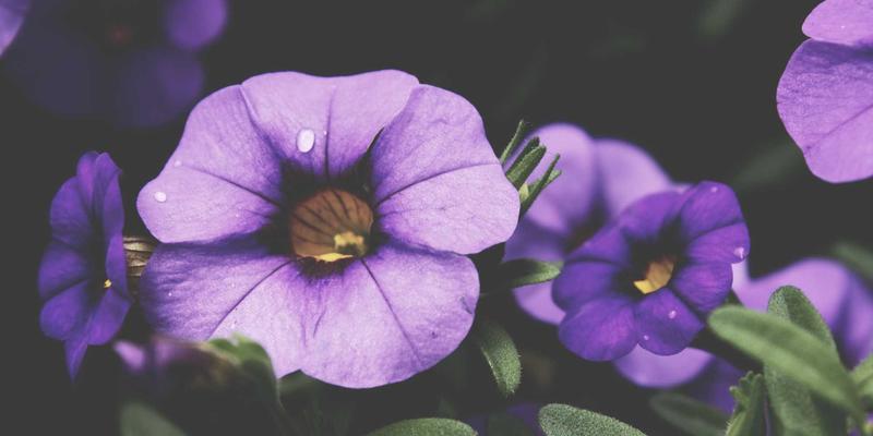 专业装修设计第一步：北京万嘉福详解空间规划与需求诊断服务流程