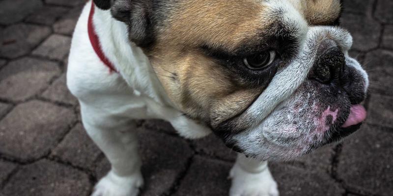 北京万嘉福26：专业装修设计，打造理想家居空间