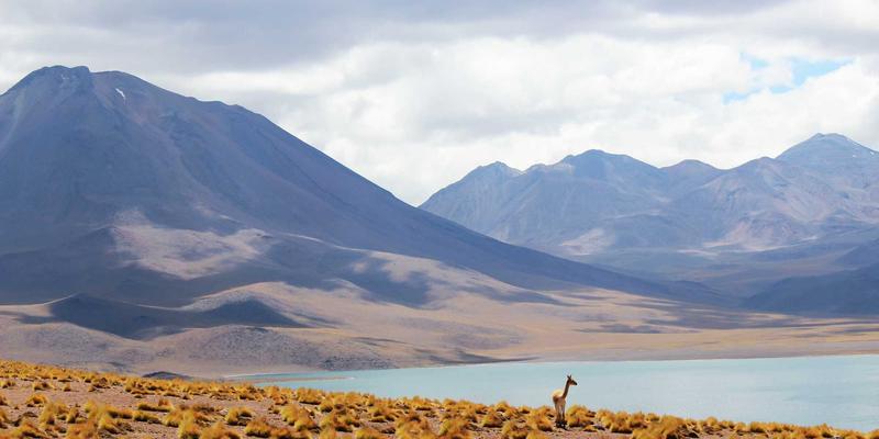 北京万嘉福36：专业施工服务如何重塑北京装修新标准