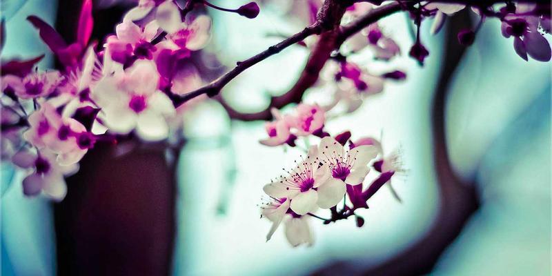 北京万嘉福50:装修设计、施工服务与建材供应的一站式解决方案