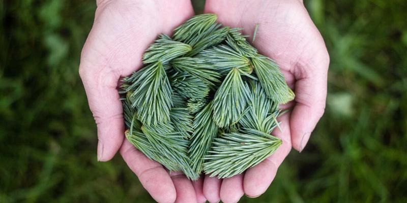 北京万嘉福56:专业建筑材料与装修解决方案的卓越之选