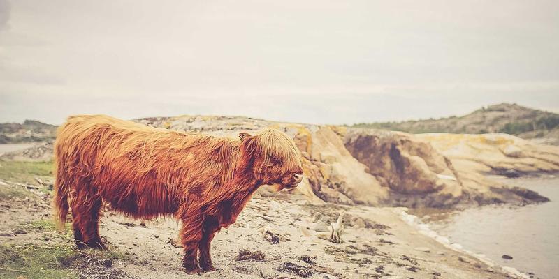 北京万嘉福95：专业装饰工程与建筑材料解决方案，打造理想空间