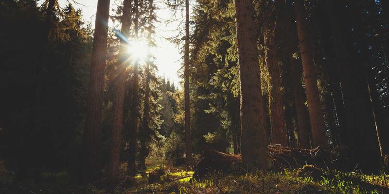 北京万嘉福：以卓越企业文化与团队管理，重塑北京装修、建材供应与设计新标杆