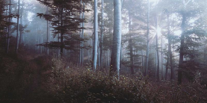 北京万嘉福装饰：以卓越工地管理与建材标准，定义高品质装修设计